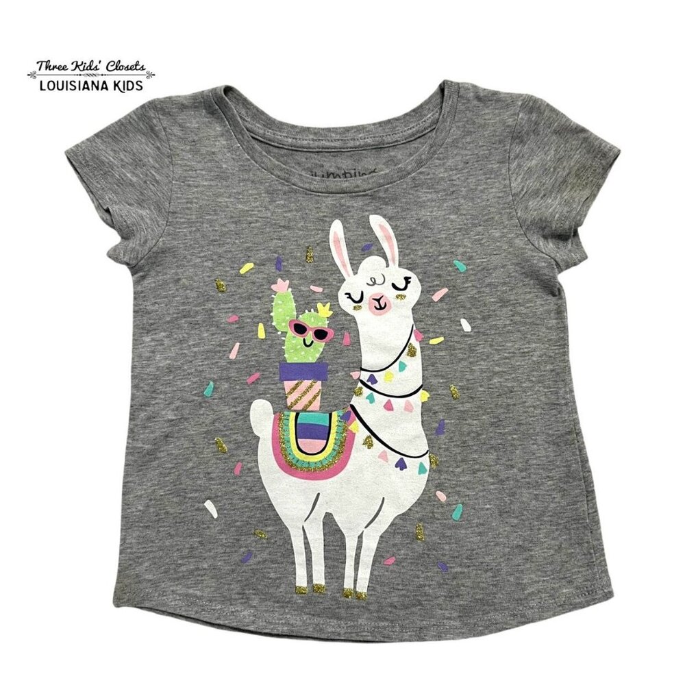 Jumping Beans 3T Llama Cactus Confetti Tee Shirt